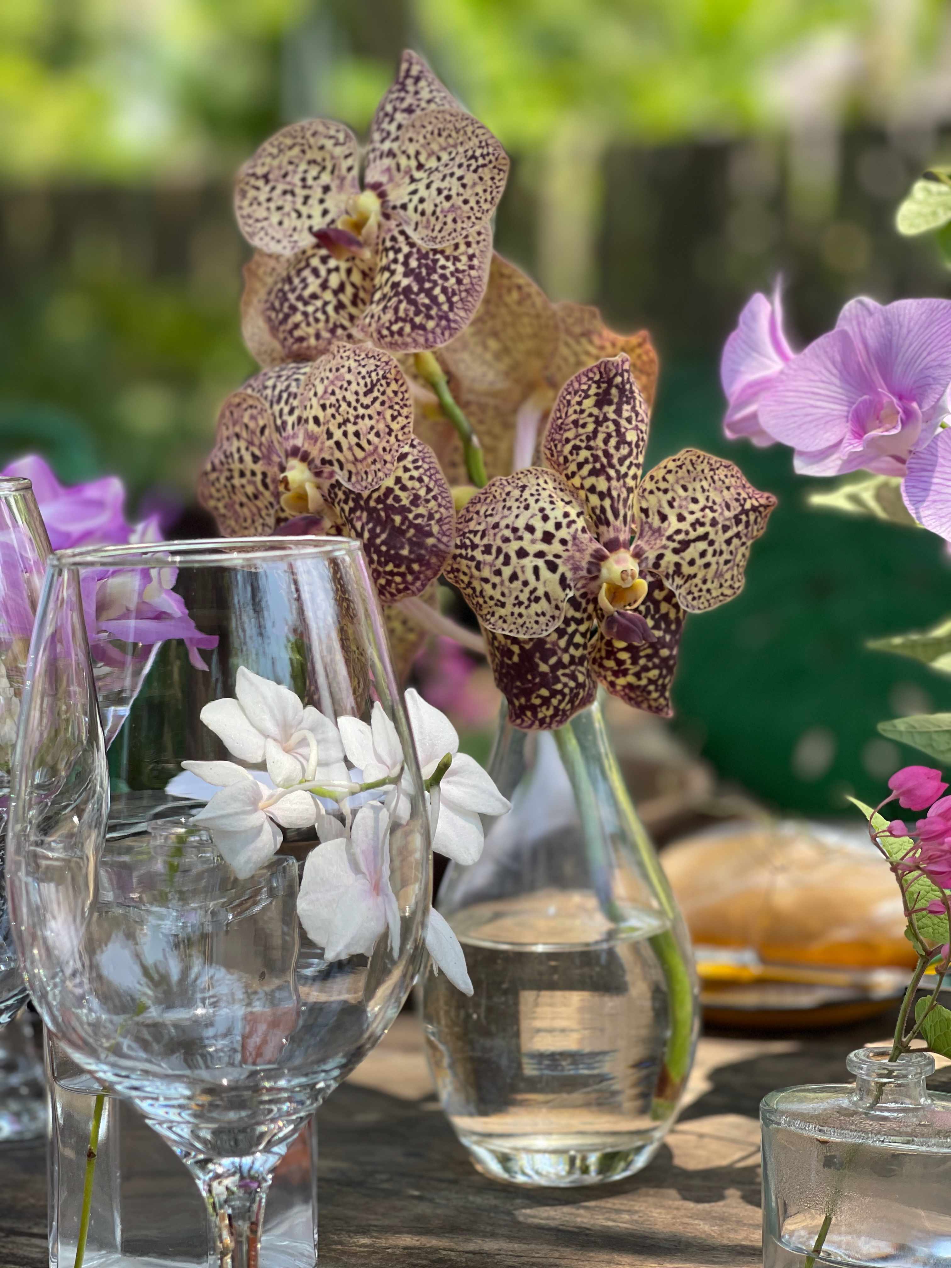 Experiences in Trancoso