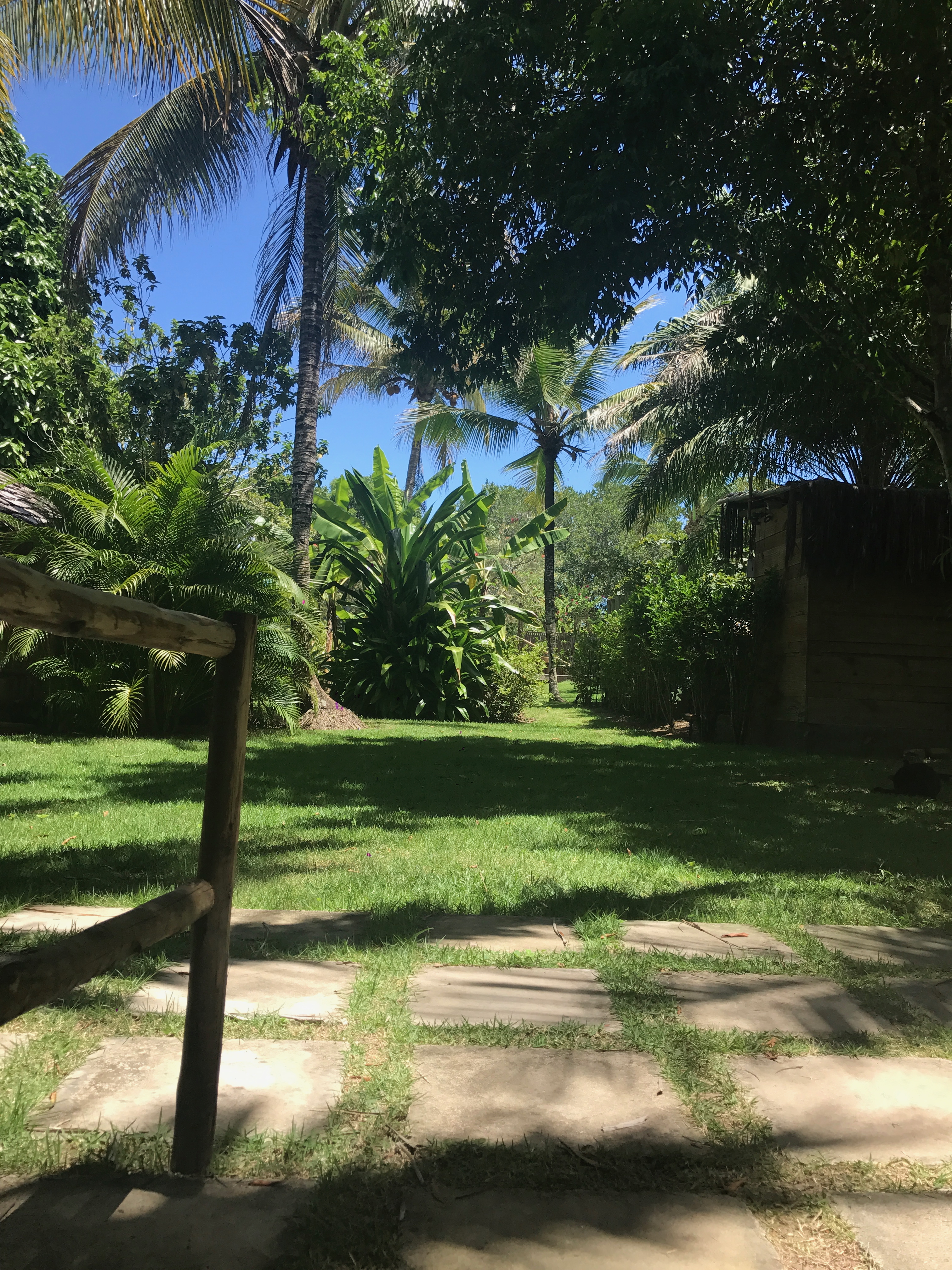Jardim tropical em Trancoso